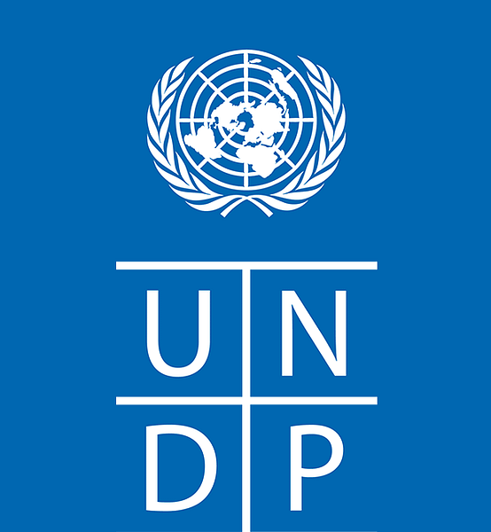 undp-logo undp-logo